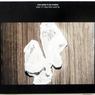 EVAN PARKER & JOE McPHEE - What / If / They Both Could Fly - CD 2013