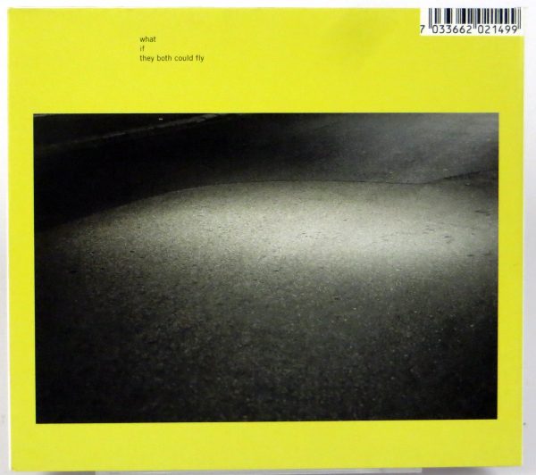 EVAN PARKER & JOE McPHEE - What / If / They Both Could Fly - CD 2013 - obrazek 2