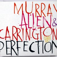 MURRAY, ALLEN & CARRINGTON Power Trio - Perfection - CD 2016