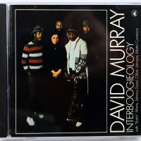 DAVID MURRAY - Interboogielogy - CD 1993